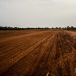 Photo de voyage — Road to Bénin