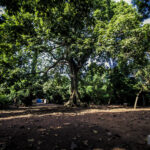 Photo de voyage — Road to Bénin