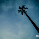 Photo de voyage — Road to Bénin