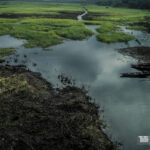 Photo de voyage — Road to Bénin