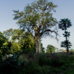 Photo de voyage — Road to Bénin