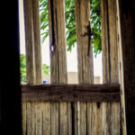Photo de voyage — Road to Bénin